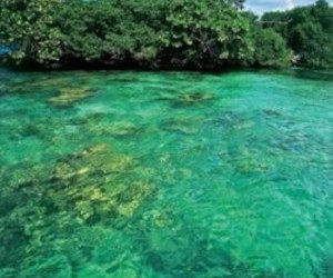 Isla Grande (Islas del Rosario).  Fuente: www.revistaaeronautica.mil.co