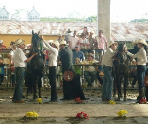 Feria Agroindustrial Equina Bovina Cultural y Turistica Fuente castillalanueva meta gov co